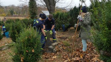 Arbeitseinsatz der THW-Jugend Radebeul in Meißen