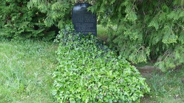 Grab von Willi Hesse