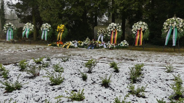 Gedenkfeier zum 13. Februar auf dem Dresdner Nordfriedhof