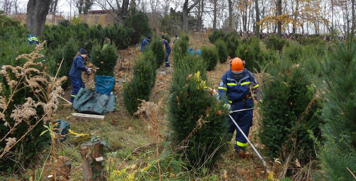 Arbeitseinsatz der THW-Jugend Radebeul in Meißen